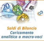 Saldi di Bilancio: caricamento analitico o macro-voci