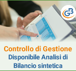 Controllo di Gestione: disponibile Analisi di Bilancio Sintetica