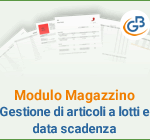 Modulo Magazzino: Gestione di articoli a lotti e data scadenza